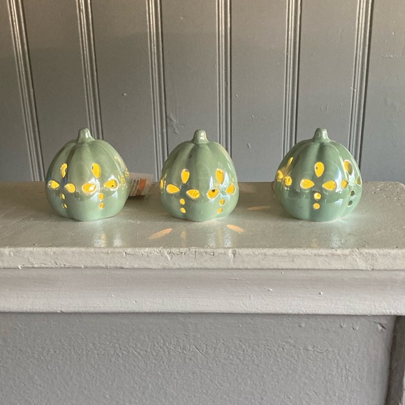 NWT Set of 3 LED Light Up Ceramic Pearl Glazed Petal Cutout Pumpkin Decorations - Picture 17 of 17